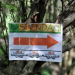 0902_MTSF120409_copy__640x480_