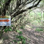 0903_MTSF120409_copy__640x480_