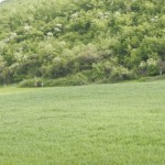 1648_RUSF190408_copy___