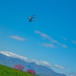 SMF2012__25_-1