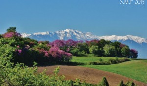 SMF  2012 Προφήτης  Ηλίας