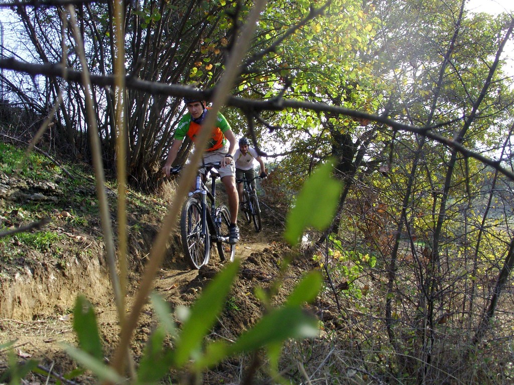 SAMSUNG DIGITAL CAMERA