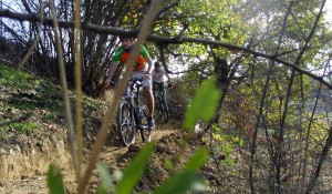 SAMSUNG DIGITAL CAMERA