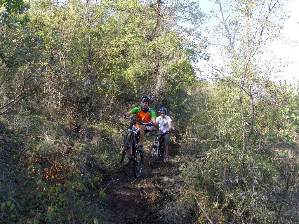 SAMSUNG DIGITAL CAMERA