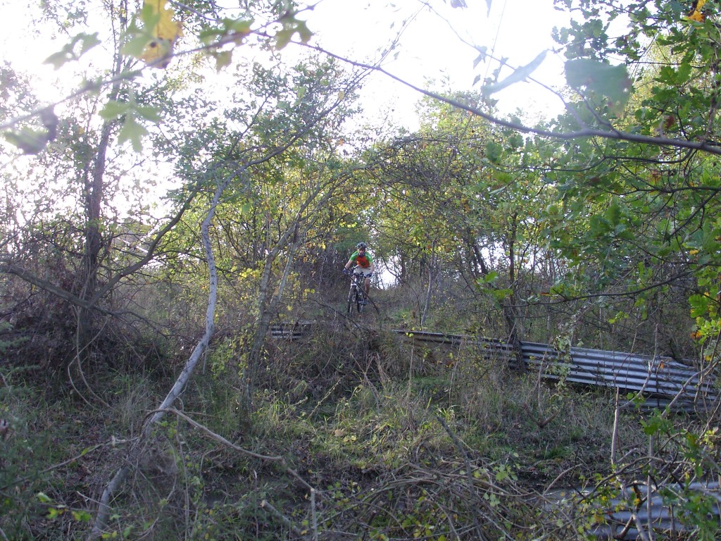 SAMSUNG DIGITAL CAMERA