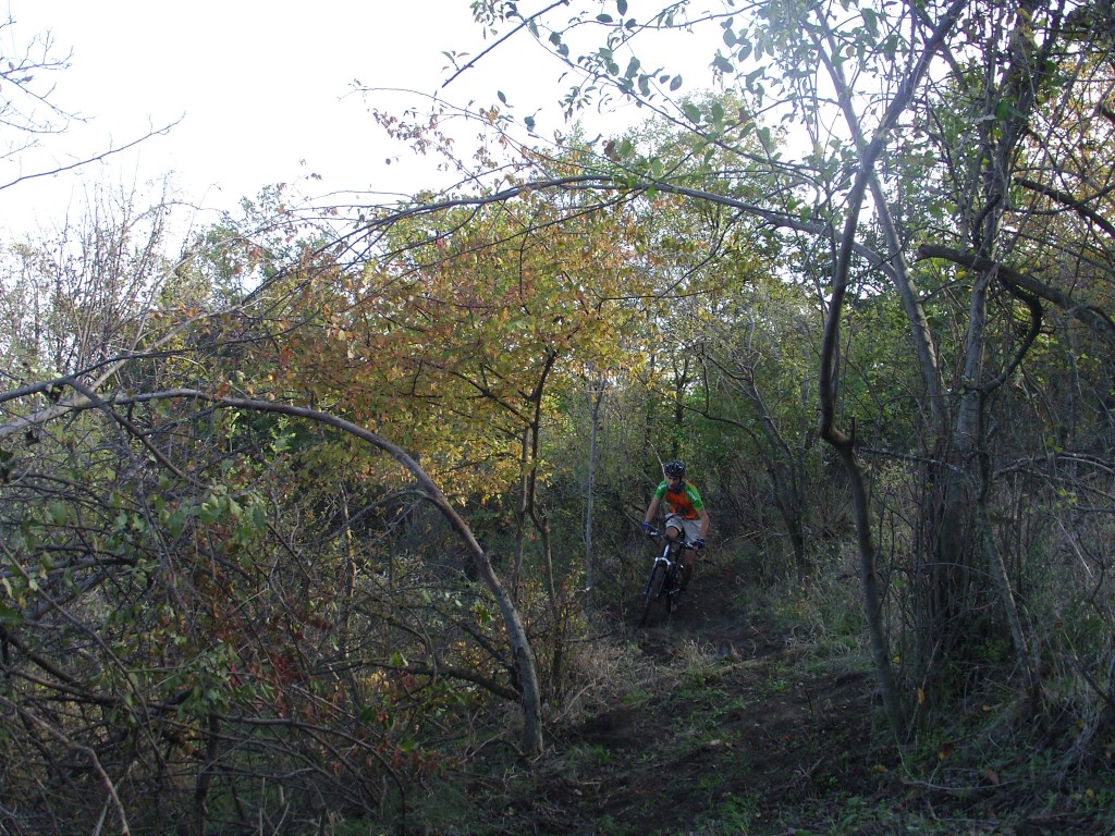 SAMSUNG DIGITAL CAMERA