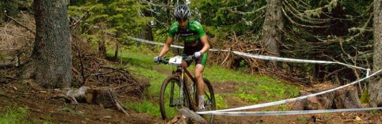 10382719_509154122546729_1985926753874438862_n