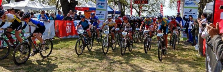 11136731_10153300910915127_1980873613350544843_n