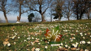 12752248_10207109071378346_788308069_o