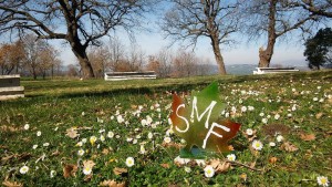 12597080_10207107083248644_1925650097_o