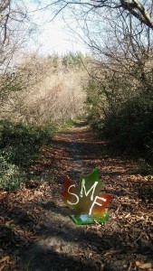 12736023_10207107076688480_1433800733_n