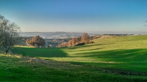 12751793_10208008182138334_1775868402_o