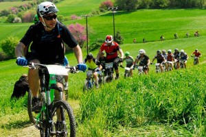 71444_339880176134853_931362223_n