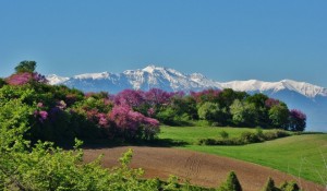 SMF   Προφήτης  Ηλίας