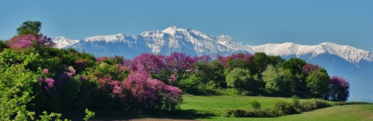 SMF   Προφήτης  Ηλίας