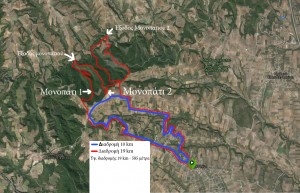 xarths night trail 2016